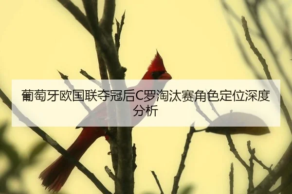 葡萄牙欧国联夺冠后C罗淘汰赛角色定位深度分析